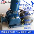 DSR125 Roots blower for sewage treatment, aeration, pneumatic powder conveying