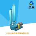 Roots blower equipped with brand pure copper motor, cast steel material, sewage treatment, aeration, aquaculture, and oxygenation