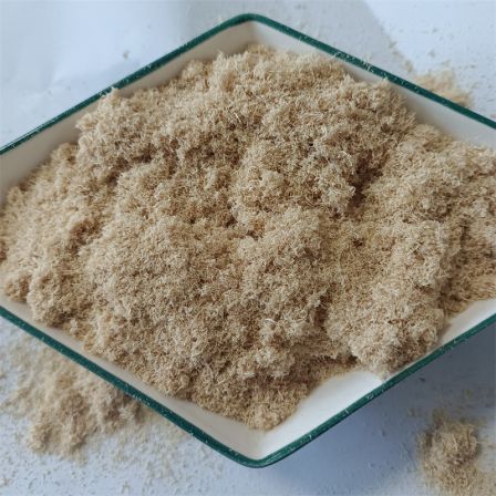 Bleached wood powder for paper making and incense making Fine wood powder with a mesh size of 20-100, Oil field plugging agent, Poplar wood powder, sawdust powder