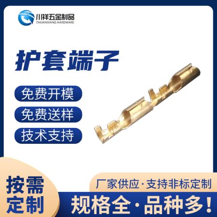Sheath terminal connector for automobile Internal wiring harness processing Straight plug spring connector manufacturer Chuanxiang