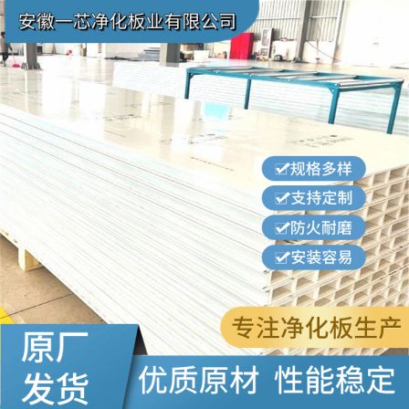 One core board industry mechanism hollow glass magnesium sandwich purification board cleaning room dedicated board sandwich board customization