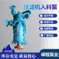 Double blade filter press feed pump coal slurry magazine pump pressurized slurry pump alloy wear-resistant material lift pump industry