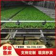 Industrialized Seedling Base Geothermal Galvanized Mobile Seedling Bed Manufacturers Increase Greenhouse Area and Increase Production