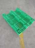 Chuanzi Grid Pallet Four Sides Fork Storage Plastic Pallet Factory Rubber Card Board Transportation Turnover Use 1212