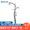 5G Smart Street Lamp Multifunctional Pole Combined Monitoring Street Lamp Integrated Road Lighting Street Lamp Pole