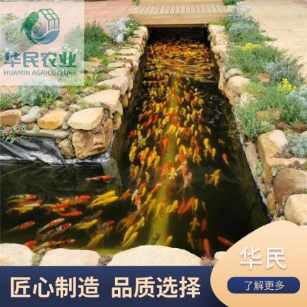 The fish vegetable symbiotic system is easy to operate, expanding the space for agricultural production, planting tomatoes and strawberries
