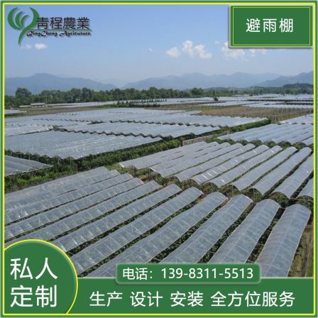 Chongqing Grape Greenhouse Film Arch Greenhouse Planting Blueberry Rain Shelter Processing Factory Greenhouse Materials Qingcheng Agriculture