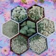 Wholesale of Green Zeolite Aquaculture Water Treatment Filter Media, Zeolite Particles, Flowers, Gardening, Planting, and Meat Paving by Manufacturers