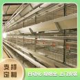 Net raised broiler equipment Xinxiang chicken equipment How many days does egg laying chicken farming take? Xinxiang chicken farm equipment Egg laying chicken meat chicken farming equipment City chicken farm