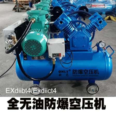 Completely oil-free explosion-proof 220v380v explosion-proof air compressor air compressor air pump bt4/ct4