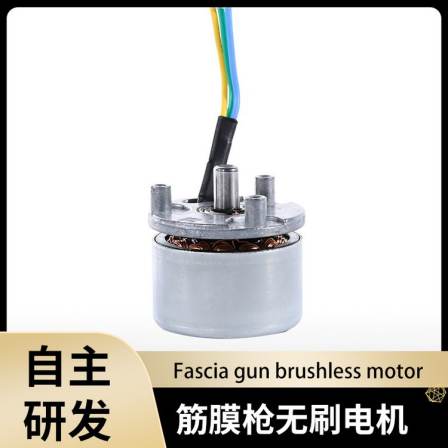 35mm diameter non inductive fascia gun brushless motor Brushless DC electric motor micro motor