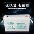 Golden Warrior UPS Power Supply 12V200AH Bank Hospital Backup Power Protection Product Stabilized Power Supply