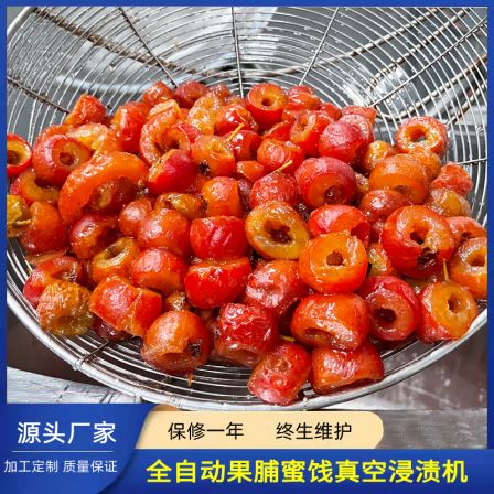 Vacuum pressure impregnation unit, complete set of equipment for processing and production of preserved fruits and candied fruits, apricot dried production machinery and equipment manufacturer