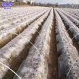 6mm small arch shed pole, 6 coarse vegetable sheds, flower sheds, insulation and seedling cultivation sheds, sun protection net support, glass fiber rod