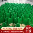 Wangao Golf Lane PE Lawn Plastic Mesh DN40 High Grass Planting Grid Factory Green Grid Pad