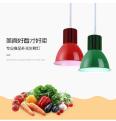 Hemiao Meow LED Supermarket Fresh Light LED Fruit and Vegetable Light Fresh Pork Light Marinated Vegetable Delicious Food Pendant Light