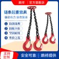 Pengxiang Chain Lifting Sling Set Customized Lifting Sling Crane Crane Mold Single Leg Double Lifting Sling