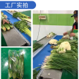 Fully automatic lettuce pillow packaging machine, vegetable and fruit sealing machine, food packaging machinery manufacturer can customize