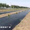 Prevent the dam from being scoured by wind, wave, tide and rain. Anti aging Xinwo new material grass proof cloth