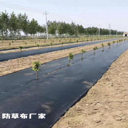 Prevent the dam from being scoured by wind, wave, tide and rain. Anti aging Xinwo new material grass proof cloth