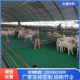 Hu sheep breeding and fecal leakage board, small hole sheep breeding bed, plastic bed board, assembled mesh bed