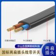 National standard two flat plug wire with switch LCS.01.303 High temperature resistance and durability