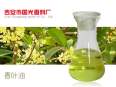 Fragrant Leaf Oil, Geranium Plant Extract, Single Formula Essential Oil, Cosmetic Raw Oil