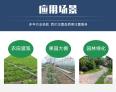 Yihe Agriculture Water Fertilizer Integrated Irrigation Equipment Greenhouse Orchard Drip Irrigation Intelligent Fertilization Machinery