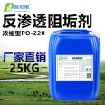Punio reverse osmosis scale inhibitor RO membrane dedicated scale inhibitor with high efficiency to prevent membrane system scaling Water treatment dispersant