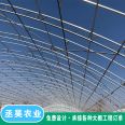 100c type steel greenhouse with good stability and strong compressive capacity for flower planting greenhouse, double membrane framework arch shed