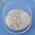 Fresh flower desiccant for making plant specimens with immortal flowers DIY fine porous silica gel particles mixed with blue indicator