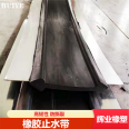 Huiye Middle Buried Back Sticking External Steel Edge Detachable Water Expansion U-shaped Rubber Waterstop Manufacturer with High Tensile Strength