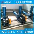 Roots blower manufacturer's backwash three blade Roots blower has long service life and quality assurance