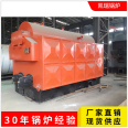 Factory supply DZL6-1.25-T biomass steam boiler chain grate particle industrial boiler