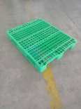 Chuanzi Grid Pallet Four Sides Fork Storage Plastic Pallet Factory Rubber Card Board Transportation Turnover Use 1212