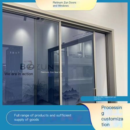 Kitchen Sliding door Factory Wholesale Support Customized Environmentally Friendly Elegant Platinum Zun Doors and Windows