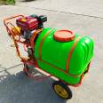 Supply of gasoline spray orchard sprayer hand push high-pressure sprayer