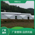 Qingcheng Agricultural New Vegetable Planting Morchella Mushroom Shelter with Oxidation Resistance, Wind Resistance, and Earthquake Resistance