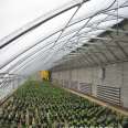 Factory orders and processes Tongfeng Jianye vegetable greenhouse skeleton, flower single temperature room skeleton