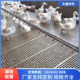 Supply of fecal plates for chickens, ducks, and geese, using plastic mesh beds for poultry breeding