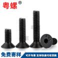 Large flat head screw, large thin head screw, low head cross CM head bolt, head diameter 7