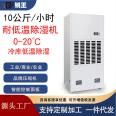 Low temperature resistant dehumidifier 480L high-power RWDW-4881E cold storage factory industrial warehouse dehumidifier Ruiwang