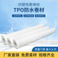 Thermoplastic polyolefin TPO waterproof roll material Class P 1.5mm color steel roof waterproofing for factory buildings