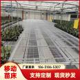 Hot dip galvanized metal seedbed, mobile seedbed, greenhouse vegetable seedling cultivation, potted flower planting