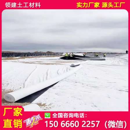 Lingjian bare soil covered with green geotextile 450g of reinforcement materials with complete specifications for road construction