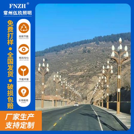 Development of Large Magnolia Lamp, Medium and High Pole Zhonghua Lamp, LED Street Landscape Lamp, Courtyard Lamp