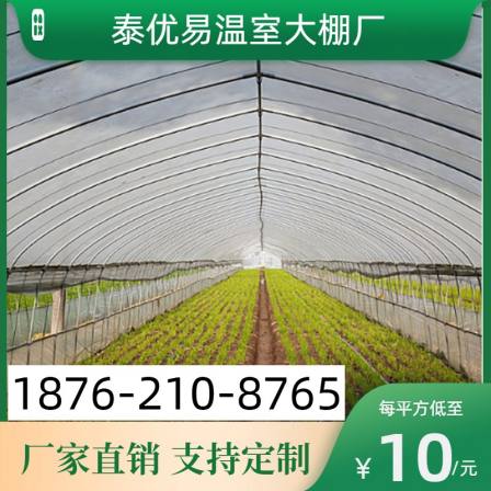 New style grape planting shed, off-season fruit greenhouse, single arch greenhouse, greenhouse pipe spot, Taiyouyi factory
