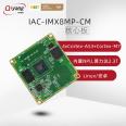 Qiyang NXPi.MX8MPLUS Cortex-A53 quad core 8mp arm embedded core board Linux Android