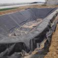 HDPE Geomembrane Waterproof Board for High Density Fish Pond Lotus Pond Tunnel in Garbage Landfill Site