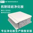 Guangya New Materials Suitable for Clean Room Food Workshop Silicone Purification Board (Mechanism) Support Customization